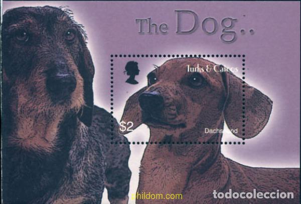 Sellos: 137819 MNH TURKS Y CAICOS 2003 PERROS - Foto 1