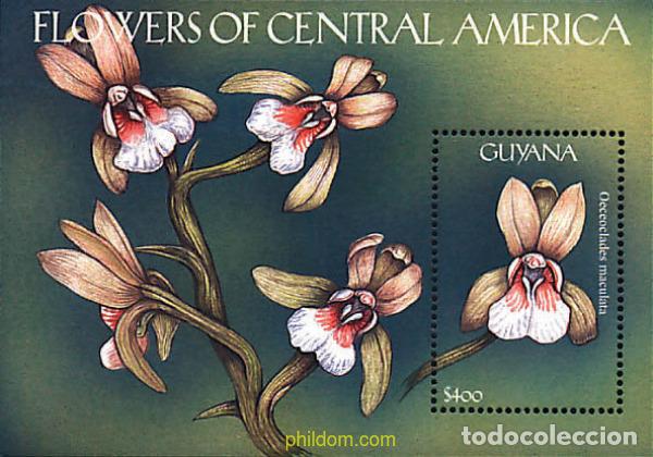 Sellos: 321500 MNH GUYANA 2000 FLORES - Foto 1