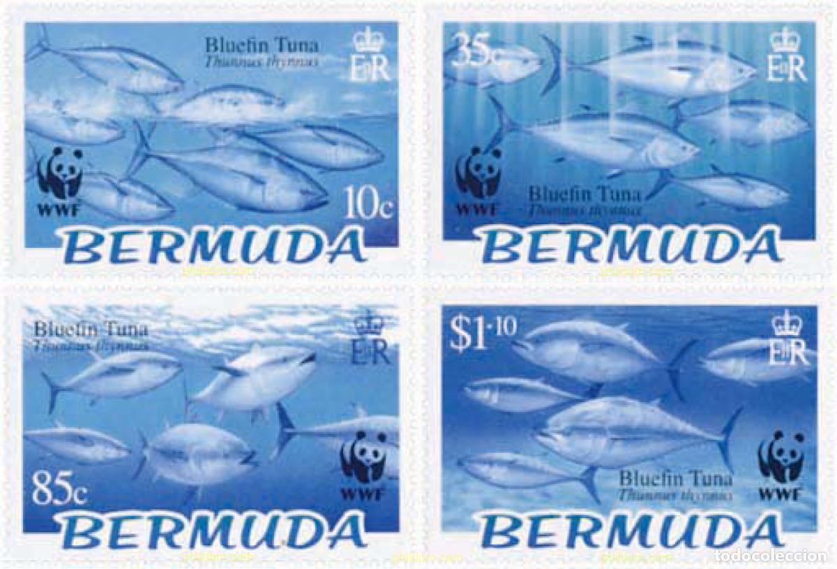 Sellos: 139246 MNH BERMUDAS 2004 WWF - Foto 1