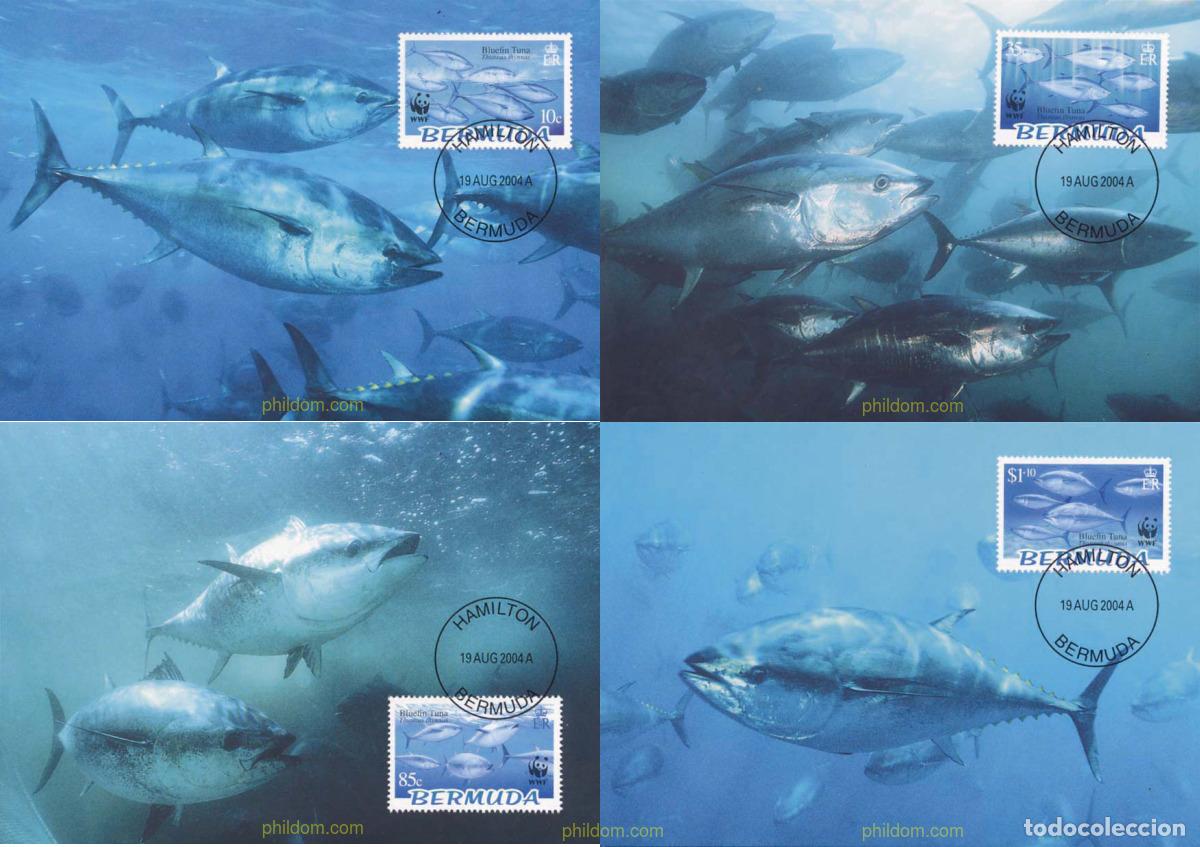 Sellos: 139249 MNH BERMUDAS 2004 WWF - Foto 1