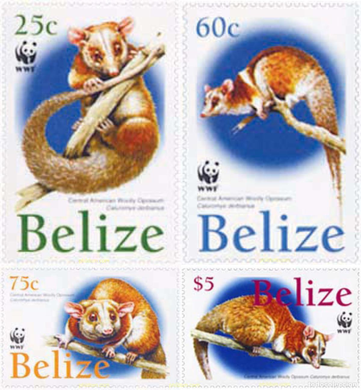 Sellos: 143130 MNH BELIZE 2004 WWF - Foto 1