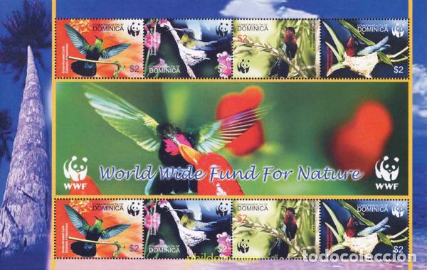Sellos: 148605 MNH DOMINICA 2005 WWF. COLIBRI