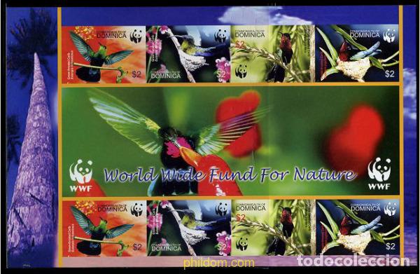 Sellos: 203569 MNH DOMINICA 2005 WWF. COLIBRI