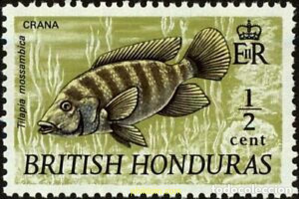 Briefmarken: 149654 MNH HONDURAS BRITANICA 1969 VIDA SALVAJE