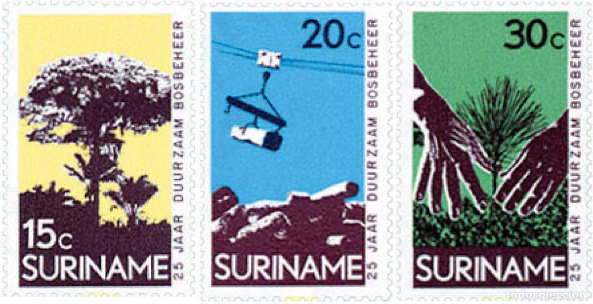 Francobolli: 151068 MNH SURINAM 1972 50 ANIVERSARIO DE LA ADMINISTRACION DE LOS BOSQUES