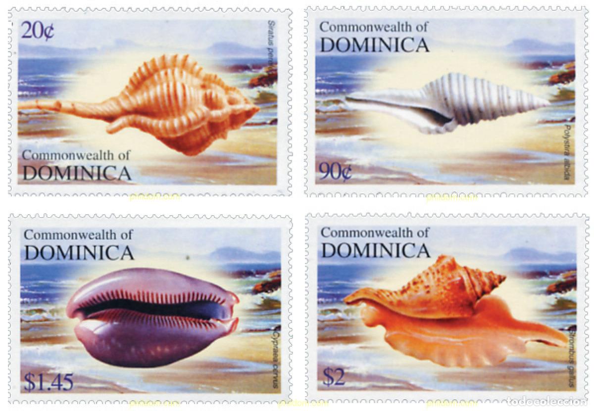 Sellos: 152096 MNH DOMINICA 2004 CONCHAS - Foto 1