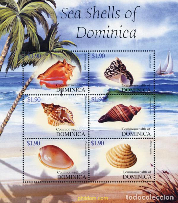 Sellos: 152098 MNH DOMINICA 2004 CONCHAS - Foto 1