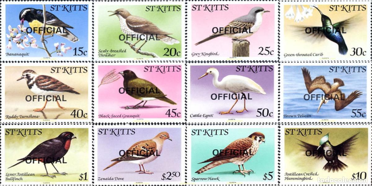 Timbres: 152417 MNH SAN KITTS 1981 AVES
