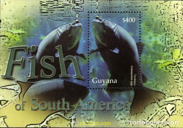 Sellos: 152886 MNH GUYANA 2005 PECES - Foto 1