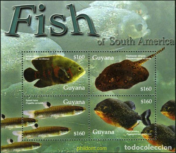 Sellos: 152884 MNH GUYANA 2005 PECES - Foto 1