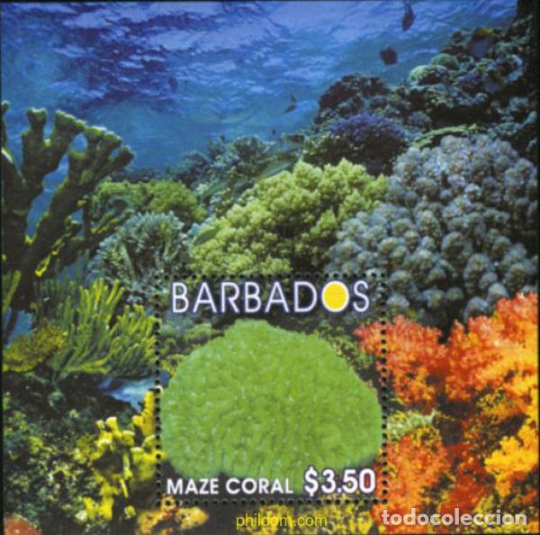 Sellos: 153080 MNH BARBADOS 2004 CORALES