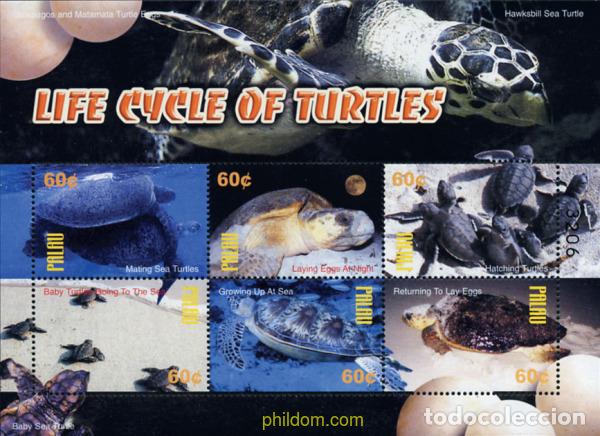 Sellos: 224891 MNH PALAU 2004 TORTUGAS