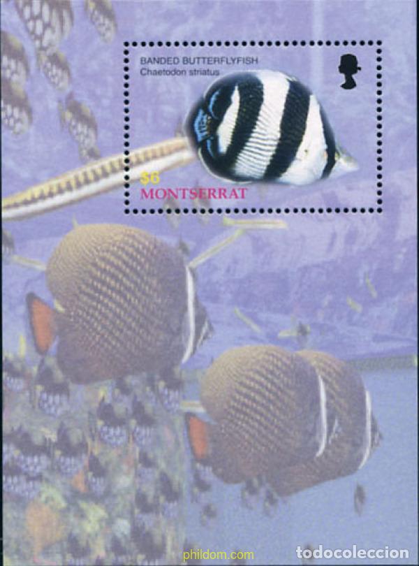 Timbres: 155056 MNH MONTSERRAT 2004 PECES DEL CARIBE