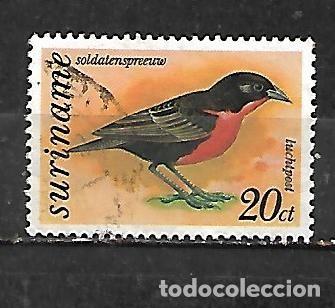 Sellos: 1977: Suriname P&aacute;jaros - Loica chilena (usado)