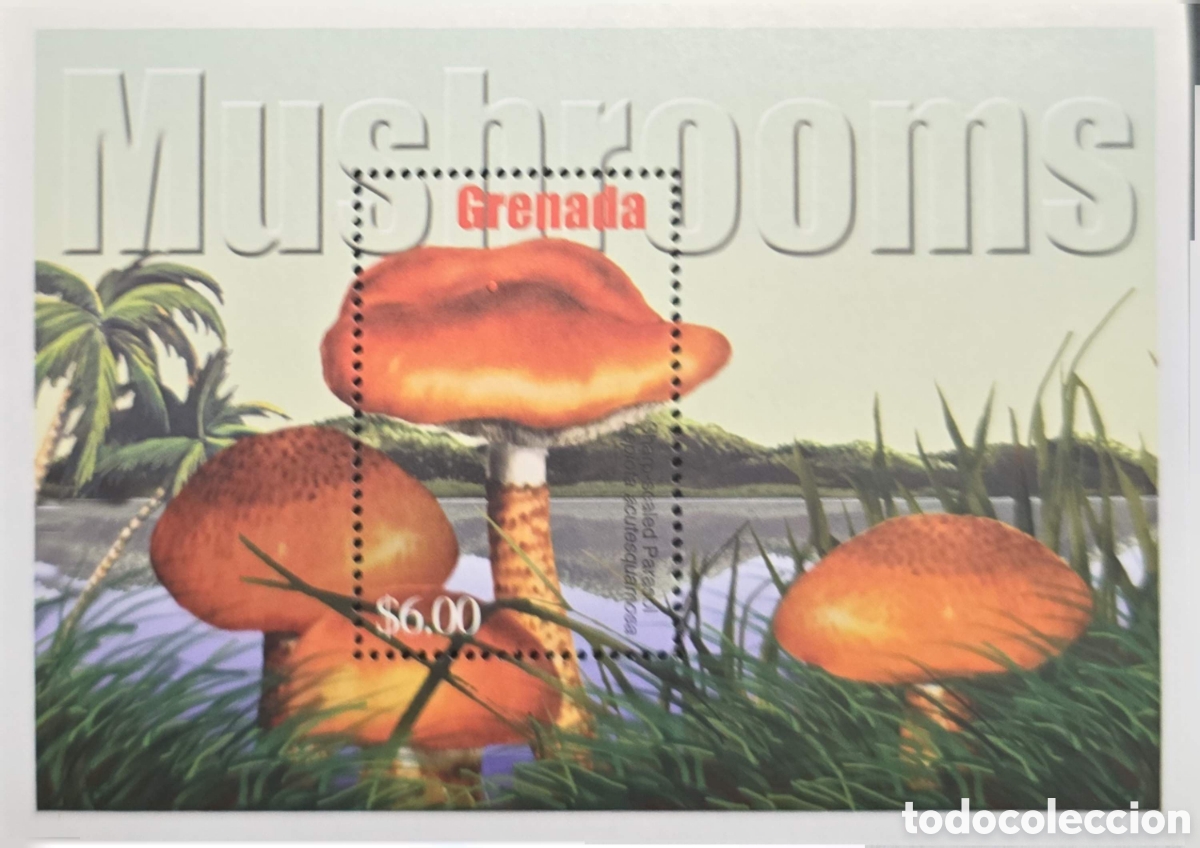 Sellos: CA)Grenada + 1990s + Mushroom Issue + $6 stamp sheet showing orange‑brown fungi in tropical scenery