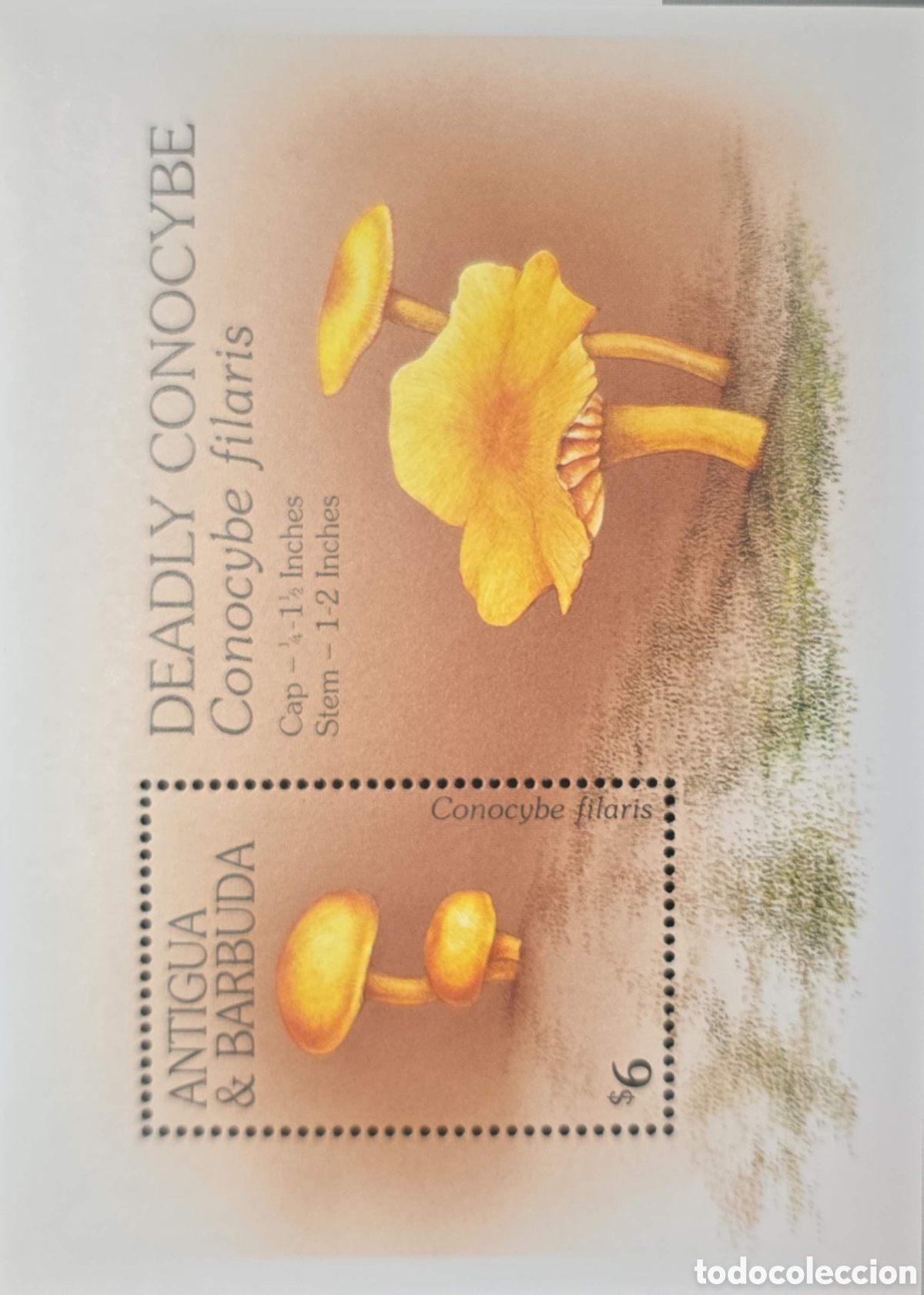 Sellos: CA)Antigua & Barbuda + 1990s + Mushroom Issue + $6 stamp depicting Conocybe filaris (&ldquo;Deadly Conocyb