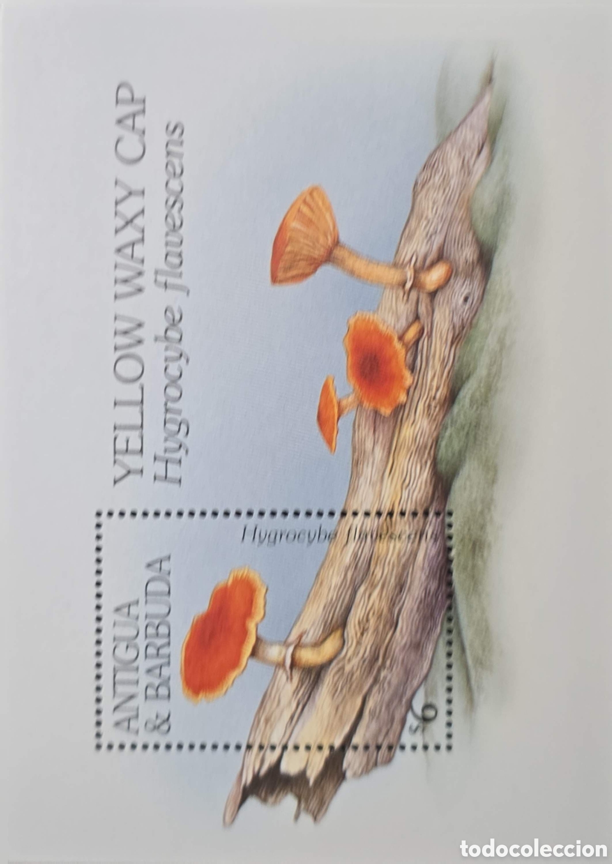 Sellos: CA)Antigua & Barbuda + 1990s + Mushroom Issue + 50&cent; stamp depicting Hygrocybe flavescens (&ldquo;Yellow Wa