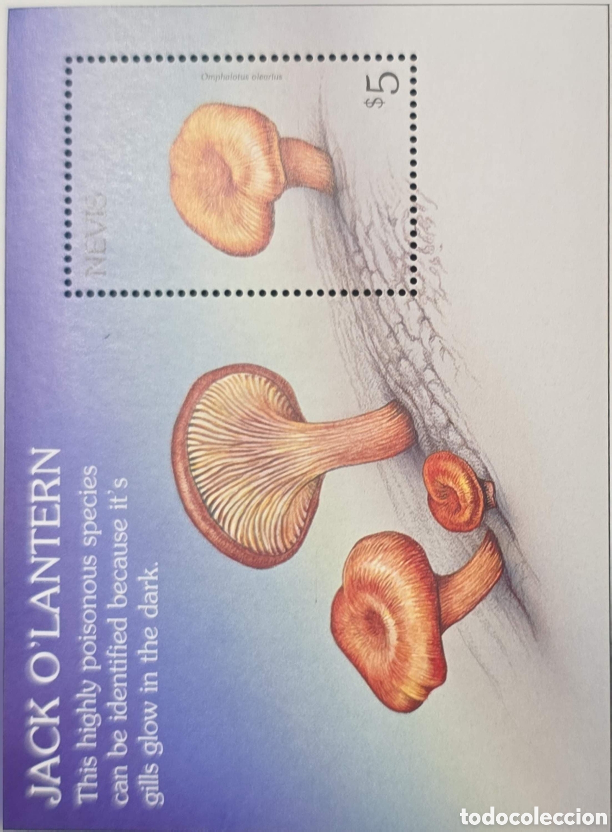Sellos: CA)Antigua & Barbuda + 1990s + Mushroom Issue + $5 stamp depicting Omphalotus olearius (&ldquo;Jack O&rsquo;Lant