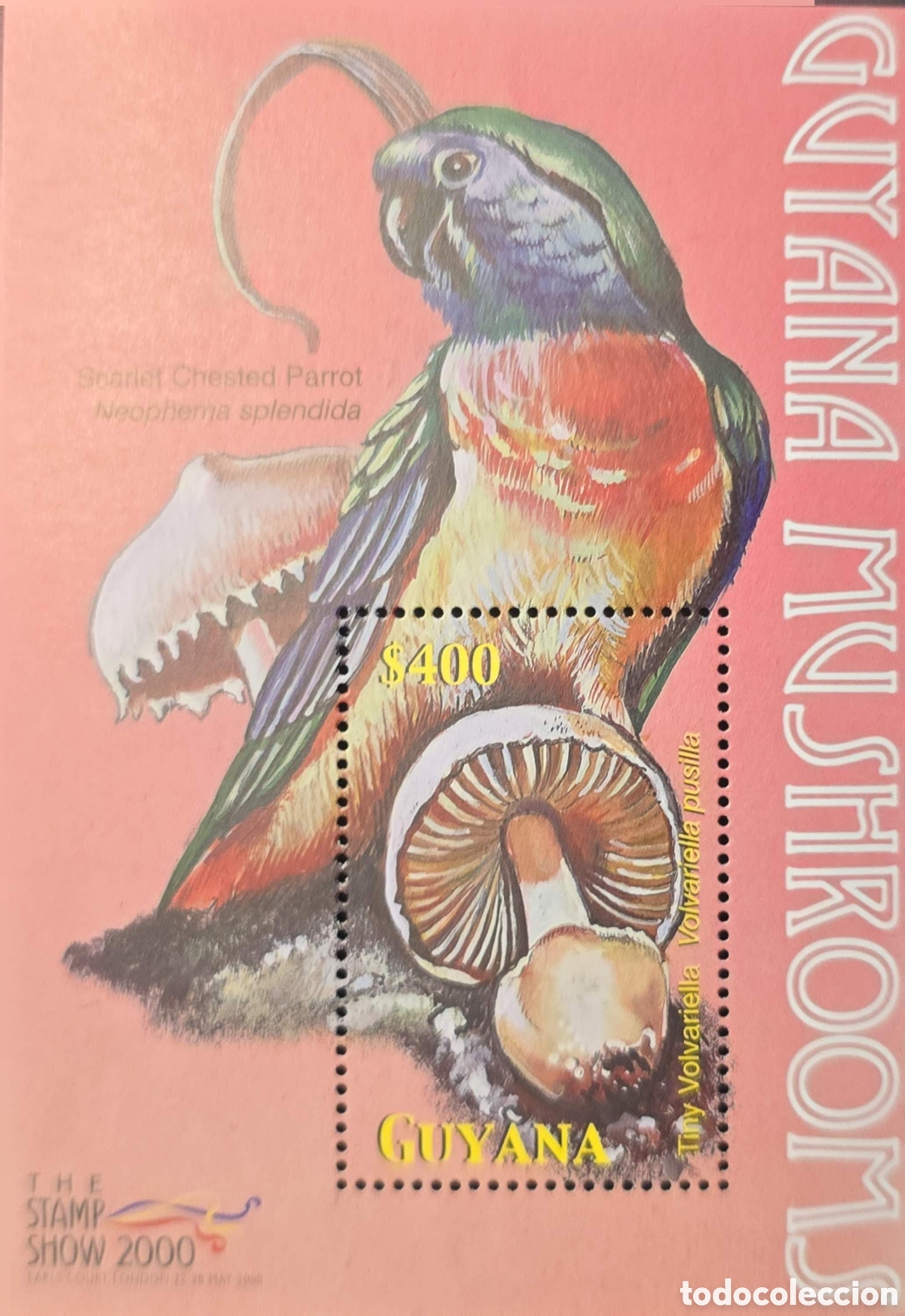 Sellos: CA)Guyana + 2000 + Mushroom Issue + $400 commemorative stamp sheet featuring Volvariella pusilla (Ti