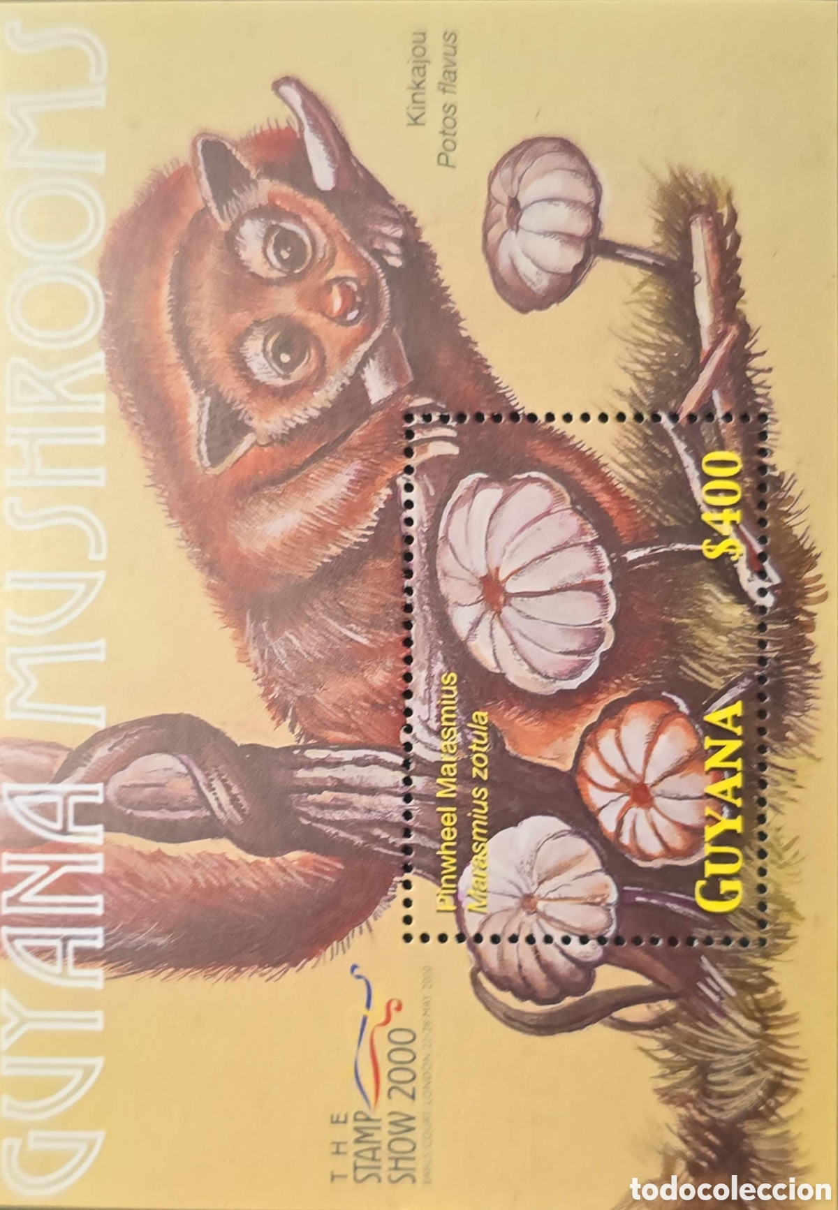 Sellos: CA)Guyana + 2000 + Mushroom Issue + $400 commemorative stamp sheet featuring Marasmius zotula (Pinwh