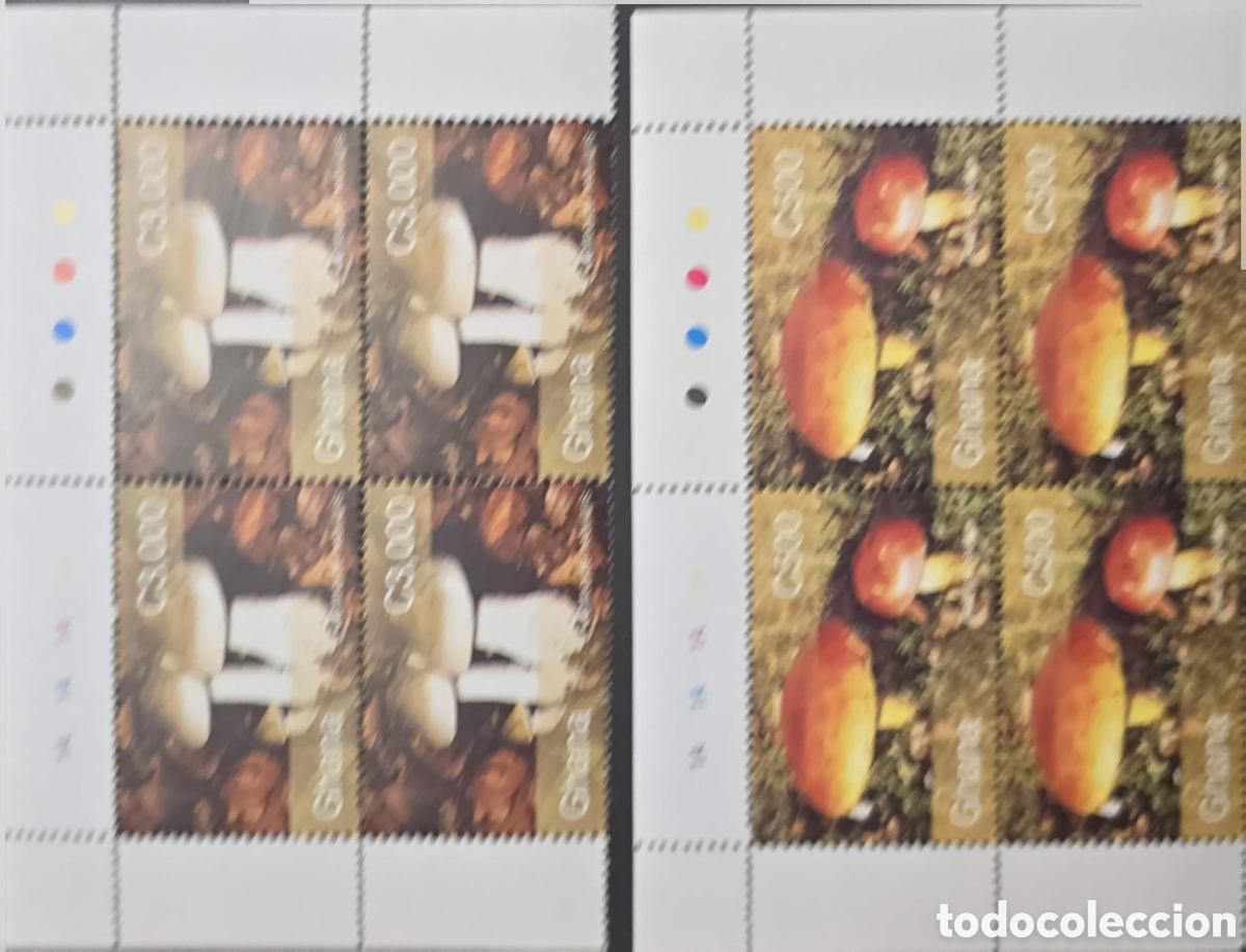 Sellos: CA)Grenada + 1990s + Mushroom Issue + Two stamp sheets, one Gs1000 with pale‑capped fungi and one Gs