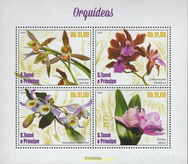 Sellos: 651136 MNH SANTO TOME Y PRINCIPE 2020 ORQUIDEAS