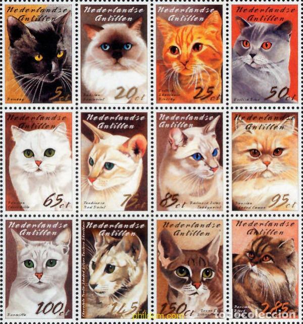 Sellos: 214600 MNH ANTILLAS HOLANDESAS 2003 GATOS