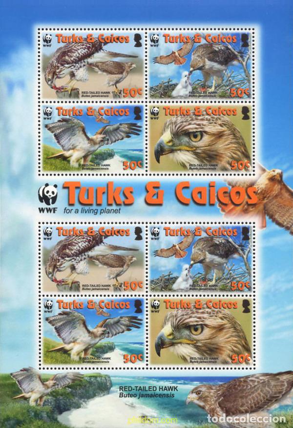 Sellos: 212529 MNH TURKS Y CAICOS 2007 WWF- GABILAN COLIRROJO
