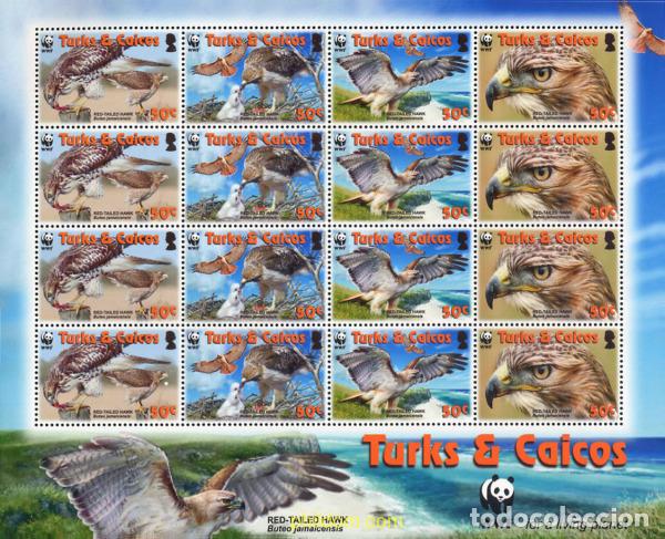 Sellos: 212530 MNH TURKS Y CAICOS 2007 WWF- GABILAN COLIRROJO