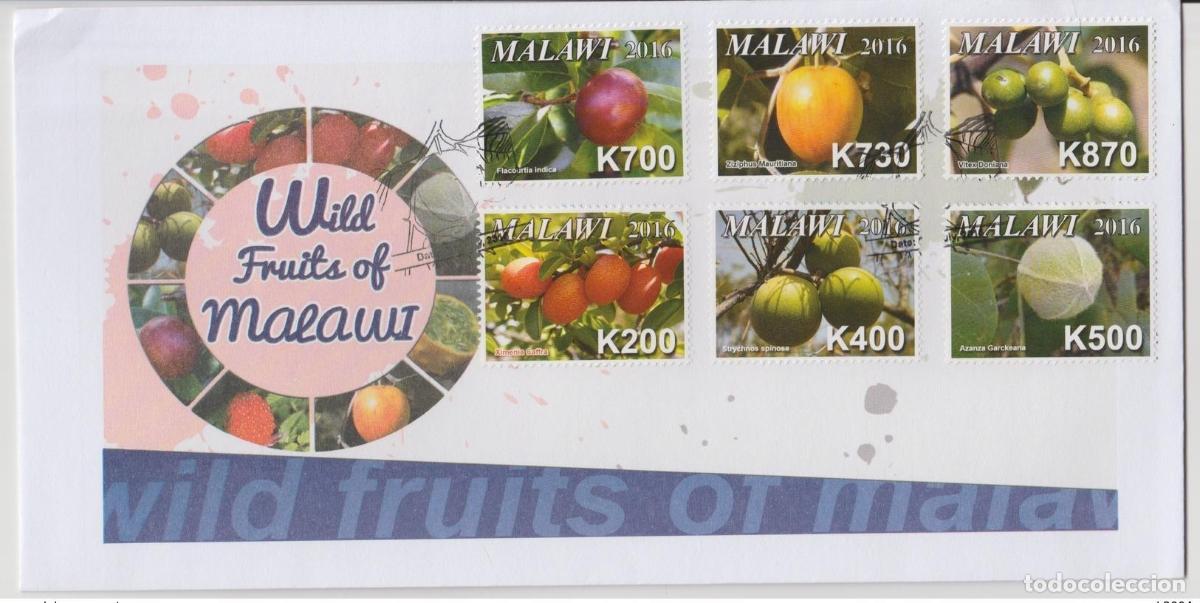 Sellos: Malawi 2016 Wild Fruits Fr&uuml;chte Flore Flora FDC 1er d&iacute;a