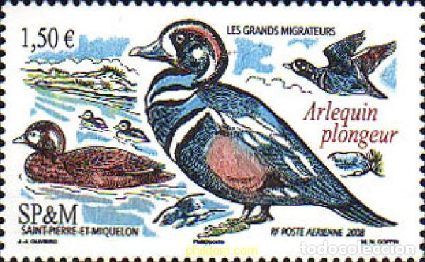 Sellos: 219214 MNH SAN PEDRO Y MIQUELON 2008 AVES MARINAS
