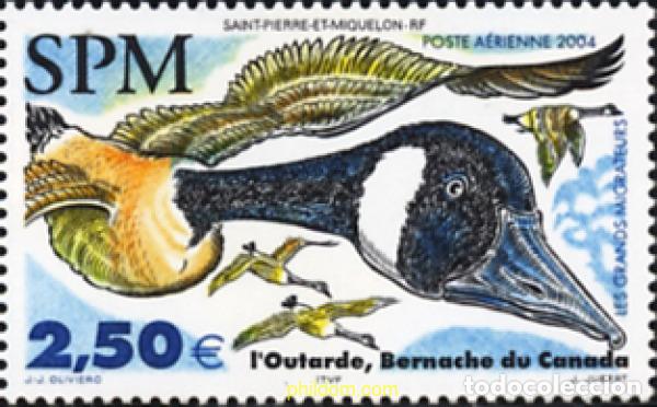 Sellos: 154985 MNH SAN PEDRO Y MIQUELON 2004 AVES