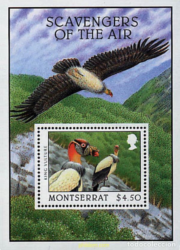 Sellos: 93751 MNH MONTSERRAT 1997 AVES NECROFAGAS