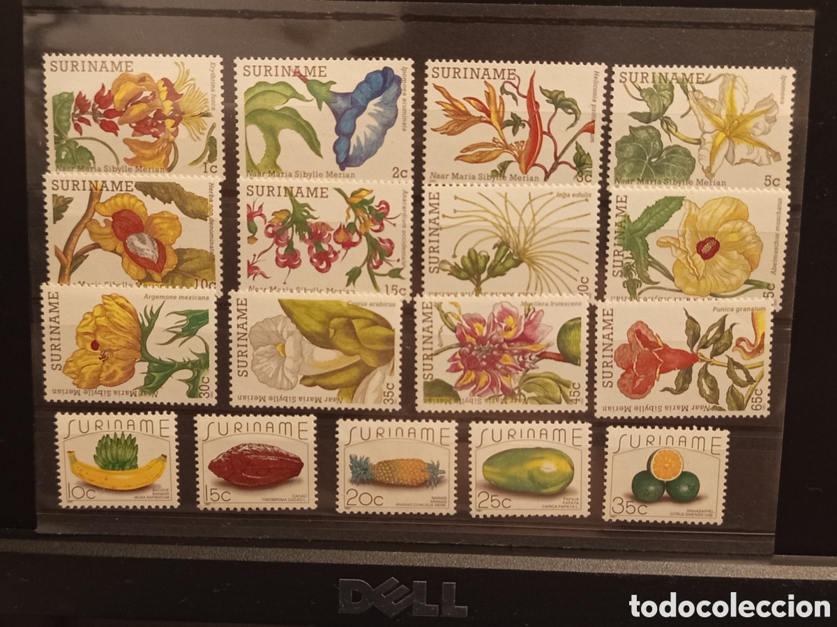 Sellos: Tarjeta Insertable Sellos Surinam 1957 Flores y Frutas Nuevos