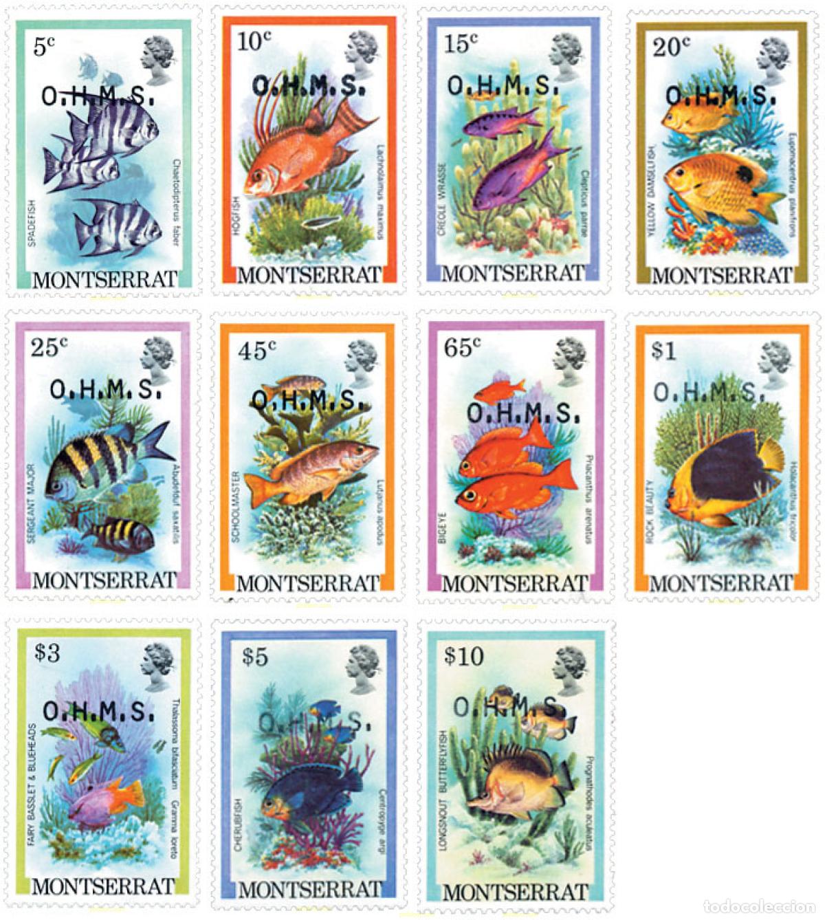Sellos: 28617 MNH MONTSERRAT 1981 PECES