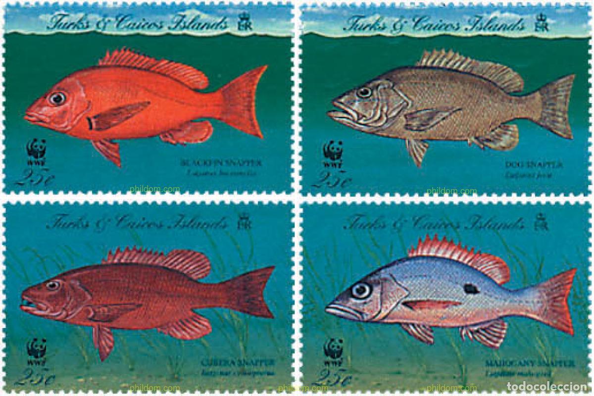 Sellos: 74990 MNH TURKS Y CAICOS 1998 A&Ntilde;O INTERNACIONAL DE LOS ARRECIFES