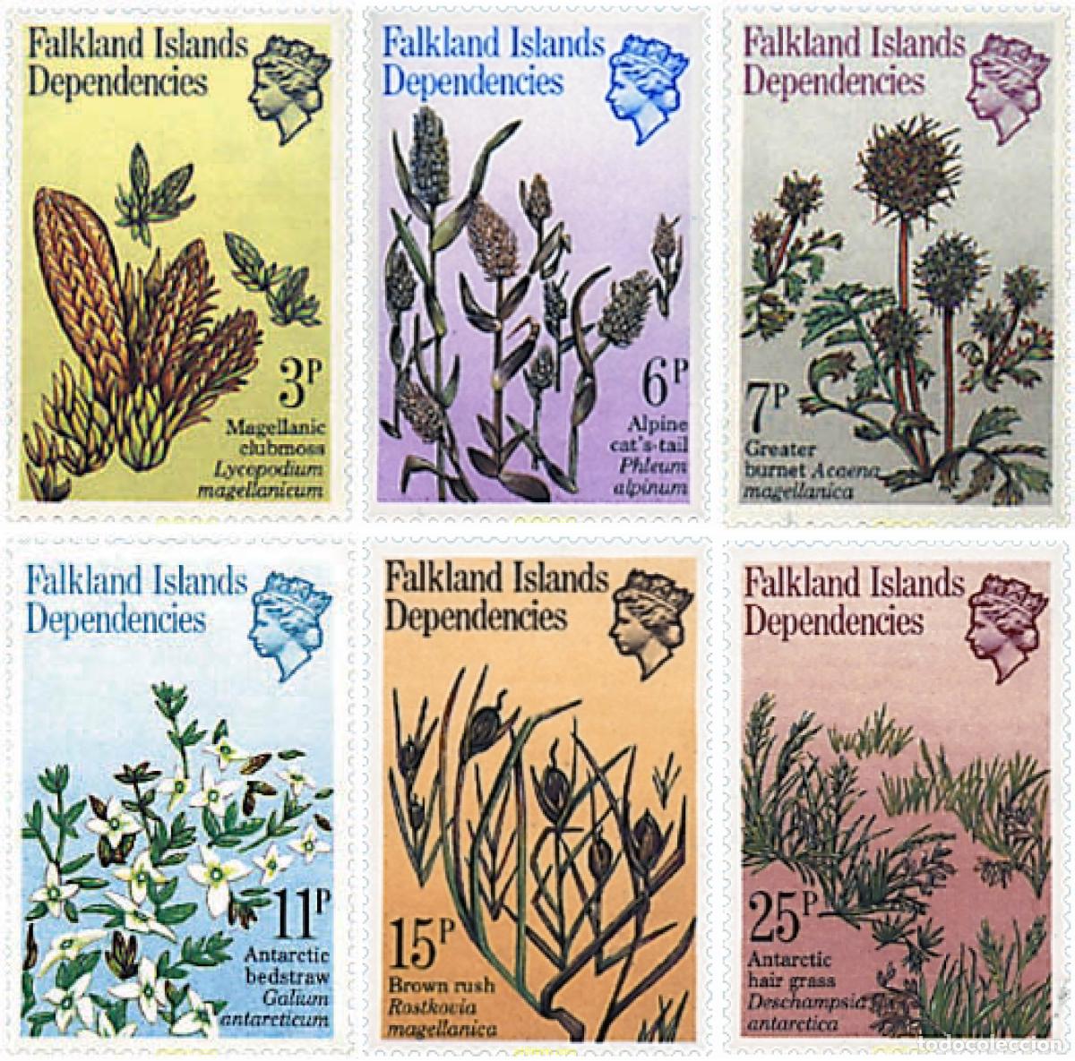 Sellos: 88887 MNH FALKLAND. Dependencias 1981 FLORA ANTARTICA