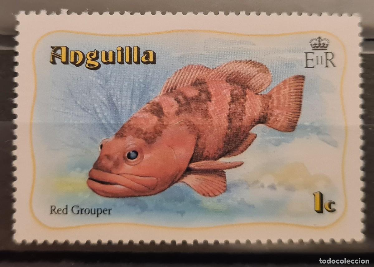 Sellos: Sello nuevo de Anguilla 1982: Epinephelus morio