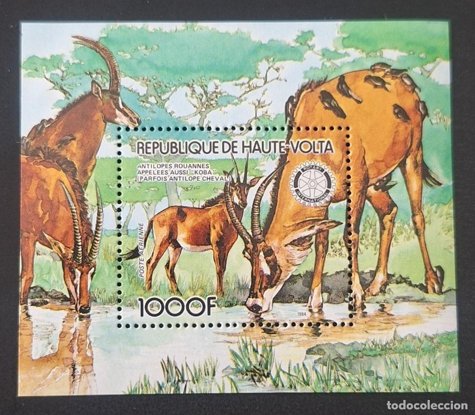 Sellos: Alto Volta 1984 Mi. Bl. 87 ant&iacute;lopes ruanos Koba fauna Rotary