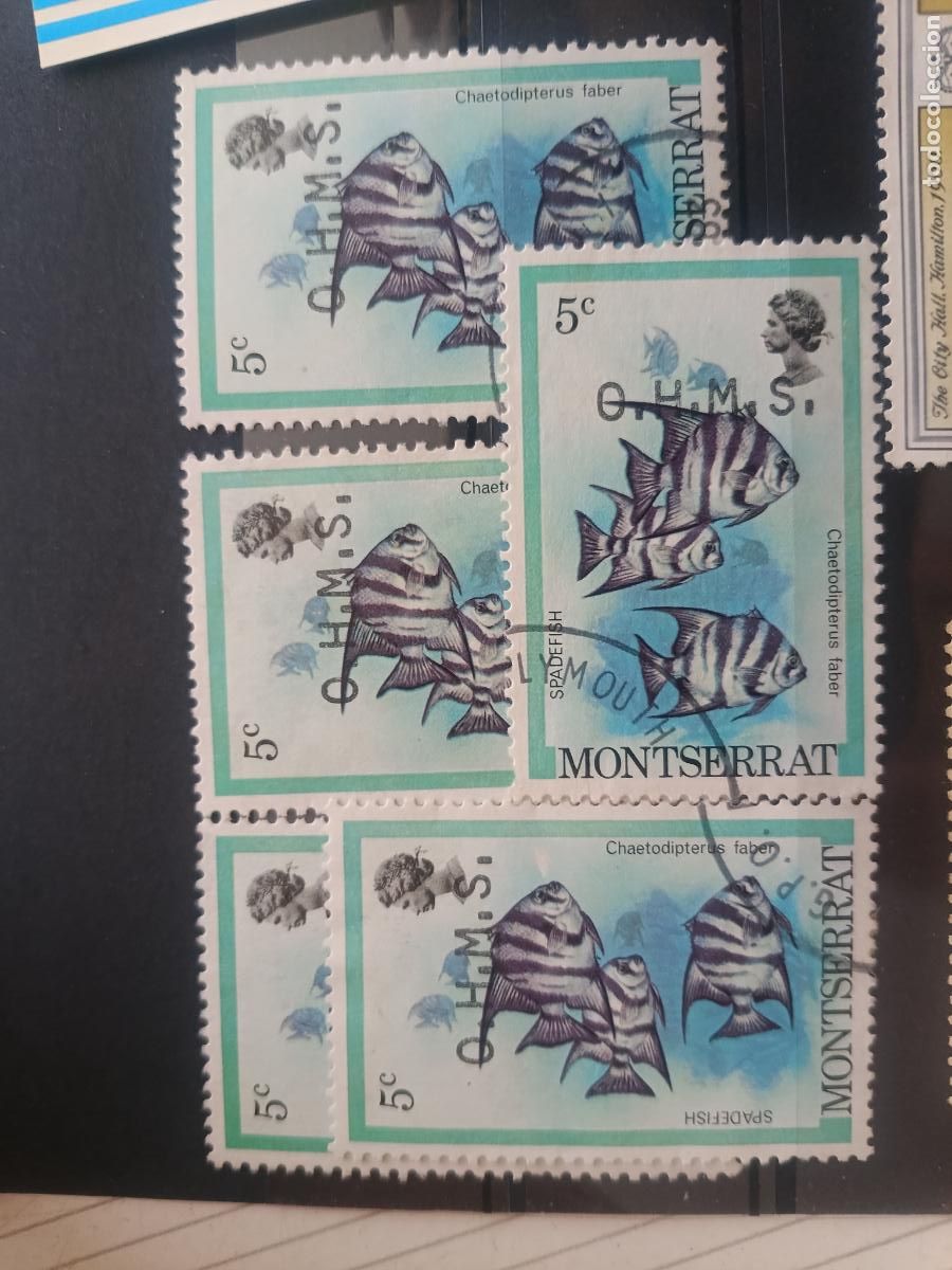 Sellos: Isla de Montserrat. Lote de sellos