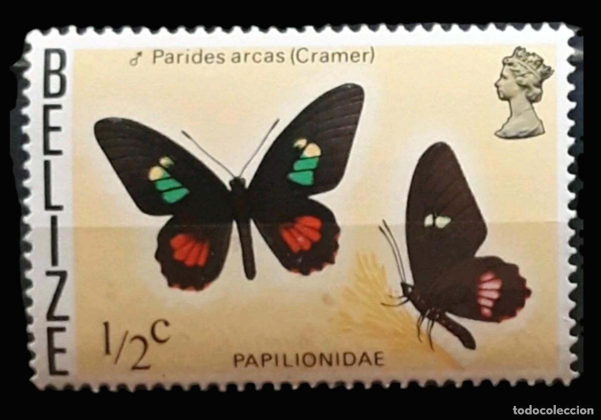 Sellos: BELICE 1974 -1978 Mariposas. YVERT: 335. NUEVO - MNH.