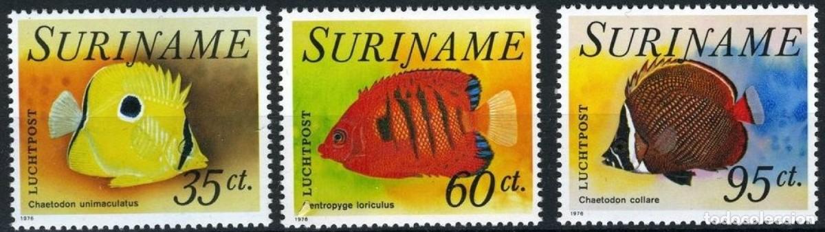 Sellos: SURINAM 1976 SERIE 3 STAMPS MNH FAUNA MARINA FISHES PECES POISSONS PESCI FISCHEN PEIXES MARINE LIFE