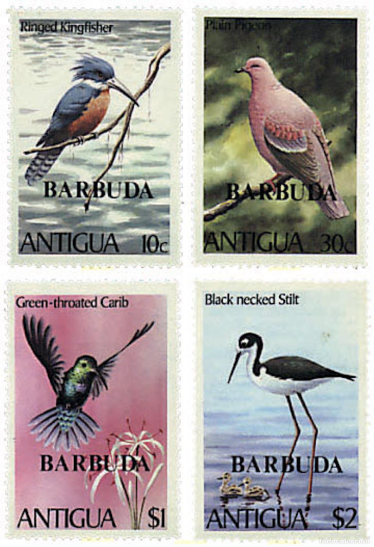 Sellos: 33991 MNH BARBUDA 1980 AVES