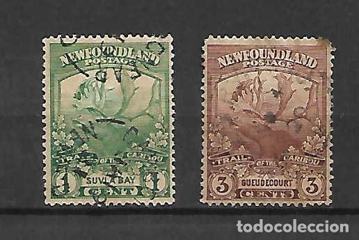 Sellos: Fauna: Carib&uacute; de Newfoundlan, Terranova. sellos a&ntilde;o 1919
