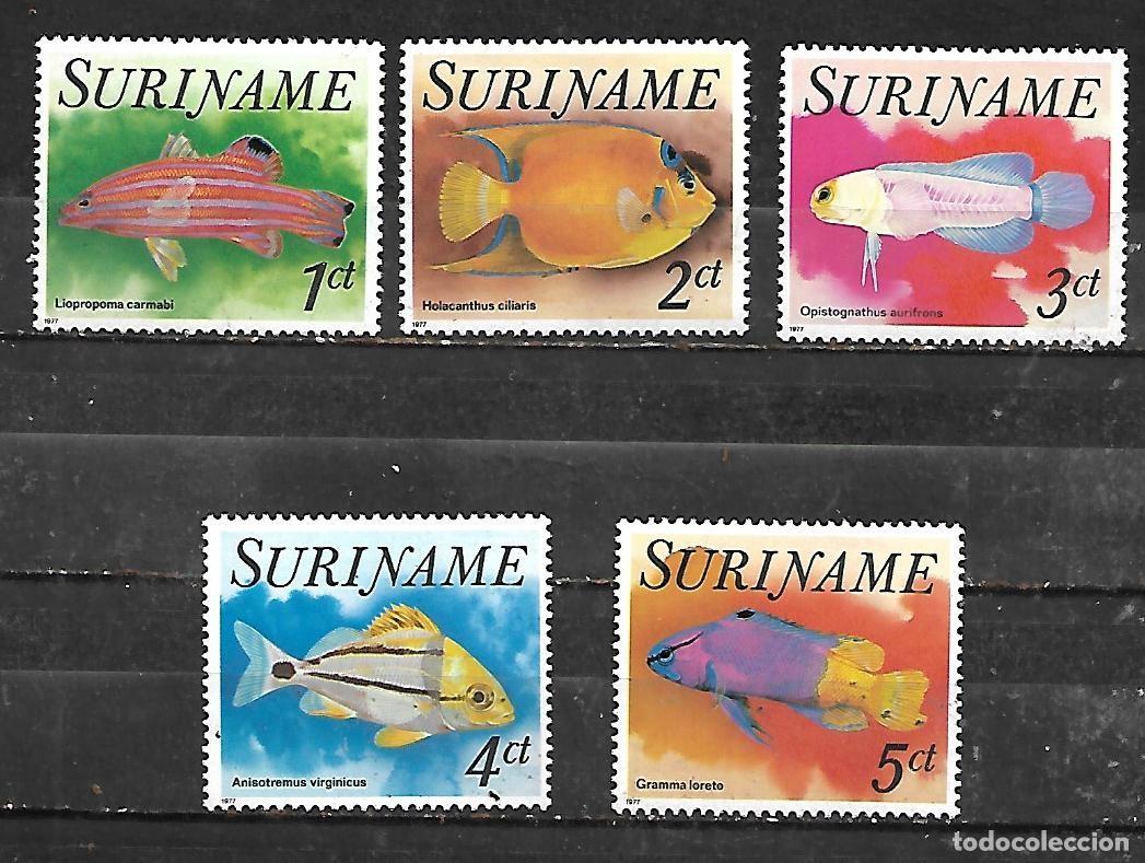 Sellos: 1977: SURINAME Serie &rdquo;Peces tropicales&rdquo; (MNH**)