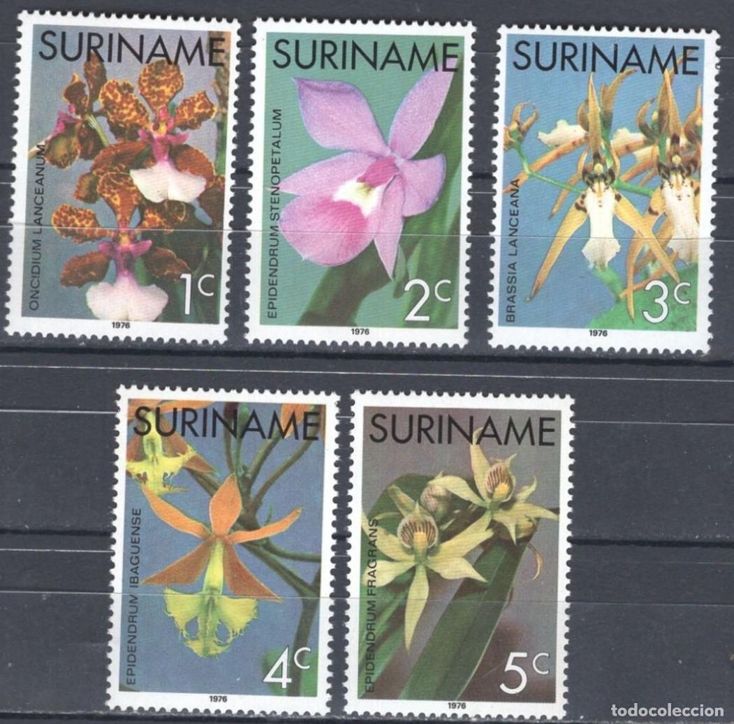 Sellos: SURINAM 1976 5 STAMPS MNH ORCHIDS ORCHIDEES ORQUIDEAS ORCHIDEEN ORCHIDEE FLORES FLOWERS FLEURS
