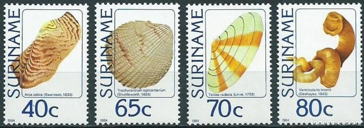 Sellos: SURINAM 1984 4 STAMPS MNH FAUNA MARINA MARINE LIFE COQUILLAGES SHELLS SEASHELLS CONCHAS MUSCHELN