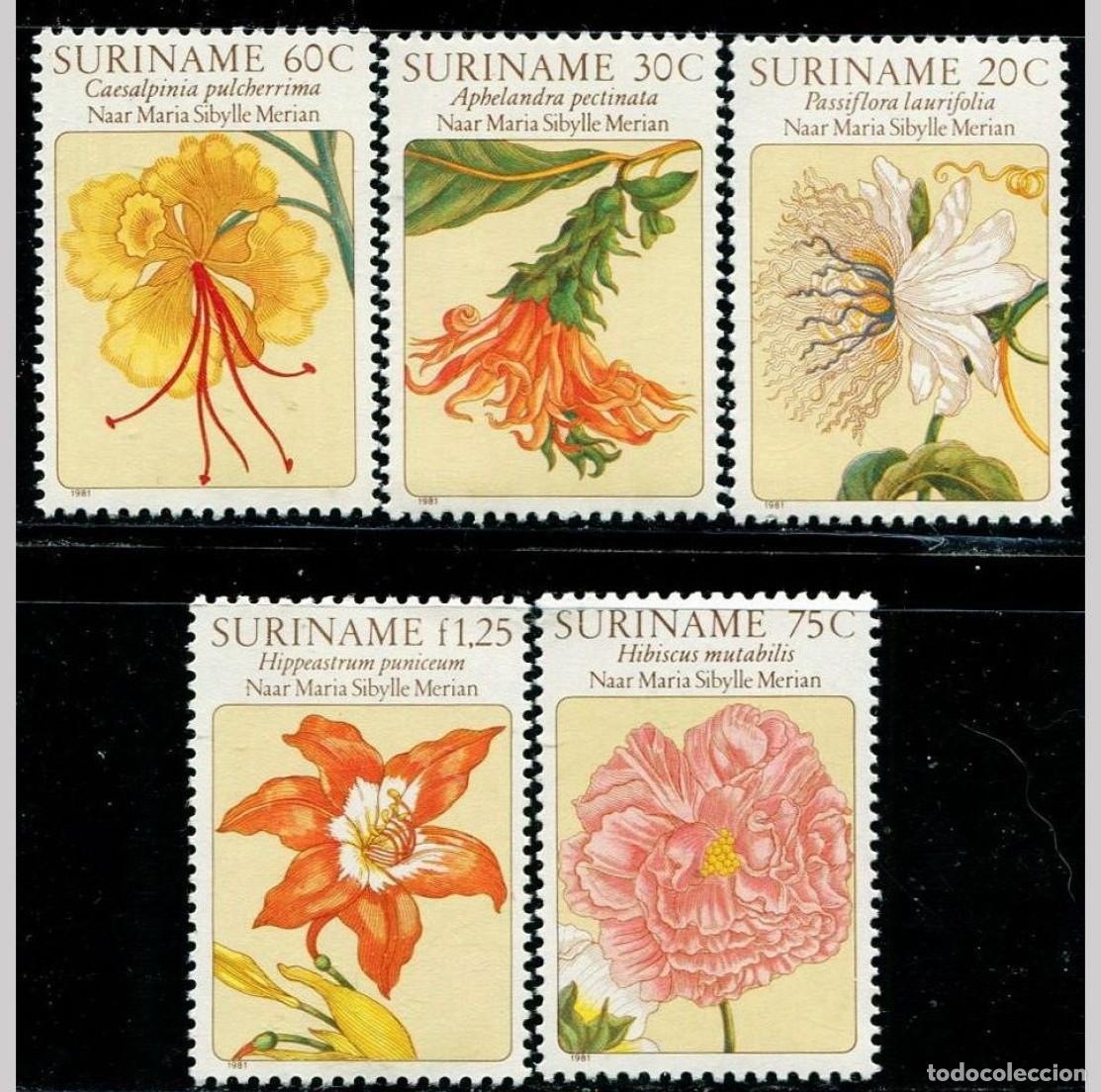 Sellos: SURINAM 1981 SERIE 5 STAMPS MNH FLORES FLOWERS FLEURS BLUMEN FIORI