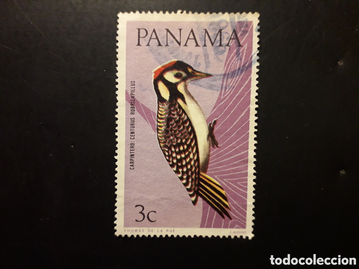 Sellos: PANAM&Aacute; YVERT 419 SELLO SUELTO USADO 1967 FAUNA, AVES P&Aacute;JAROS PEDIDO M&Iacute;NIMO 3&euro;