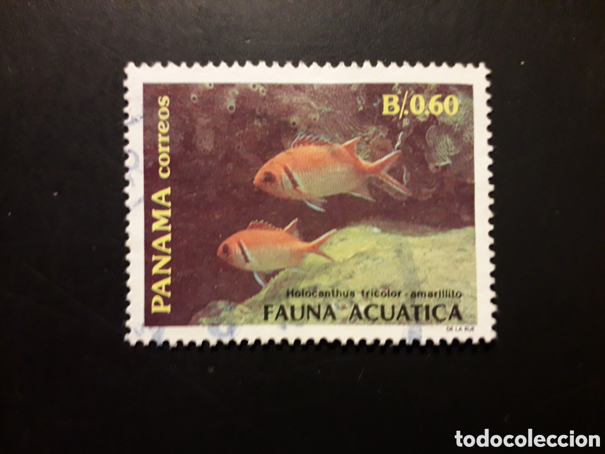 Sellos: PANAM&Aacute; YVERT 1048 SELLO SUELTO USADO 1988 FAUNA, PECES PEDIDO M&Iacute;NIMO 3&euro;